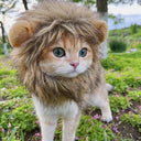 Pet Wears